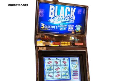 What Slot Machines Pay at the Coeur D’Alene Casino