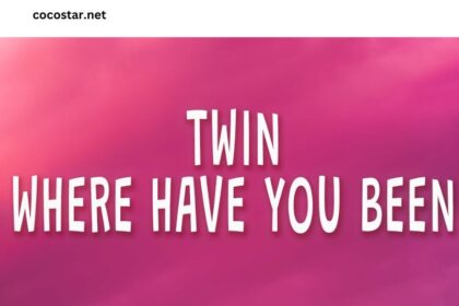 Twin Where Have You Been