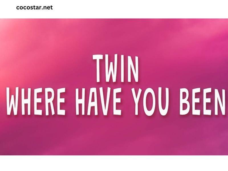 Twin Where Have You Been