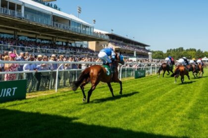 The Ultimate Guide to Summer Turf Betting Events