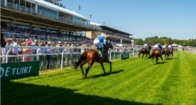 The Ultimate Guide to Summer Turf Betting Events